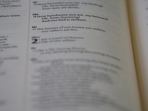 Photo translator exam