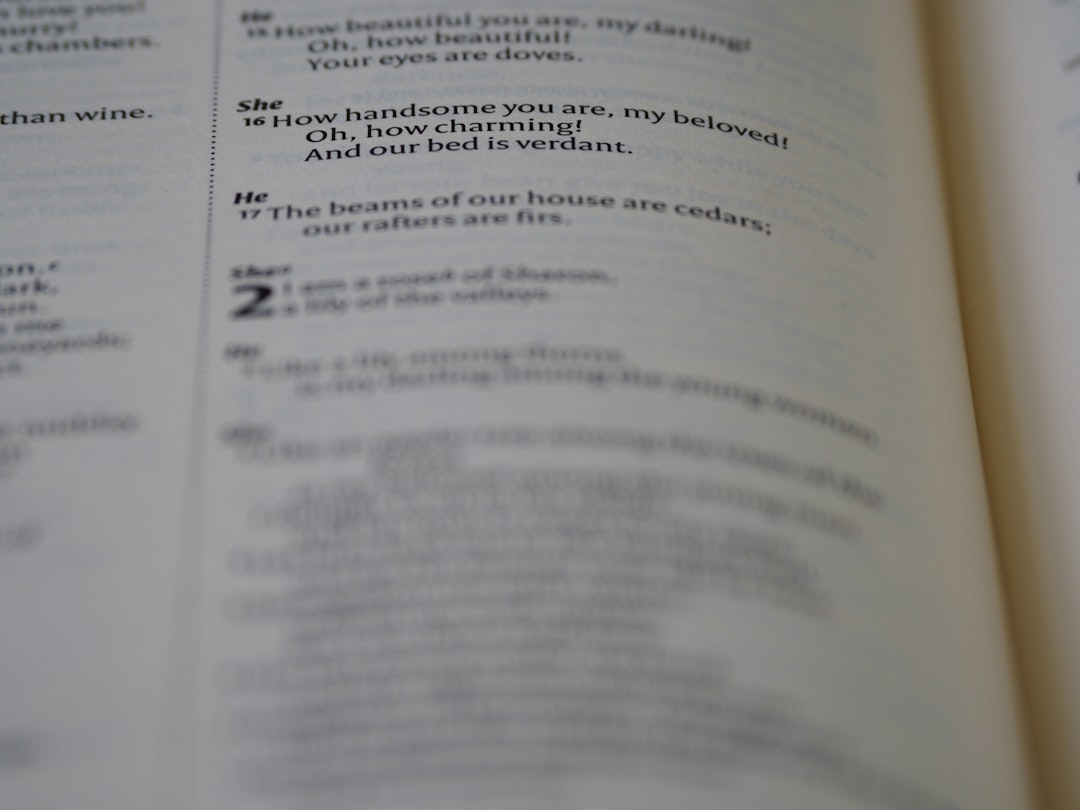 Photo translator exam